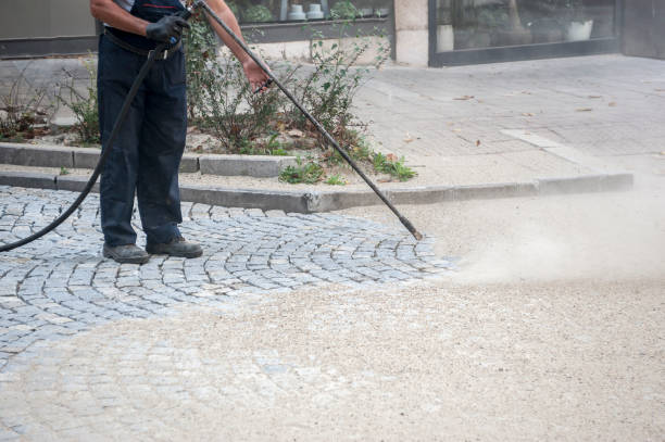 Best Gutter Cleaning and Brightening in Janesville, MN