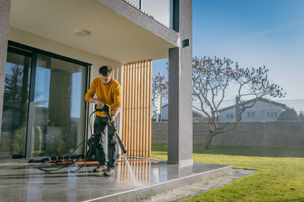 Best Brick and Stone Cleaning in Janesville, MN